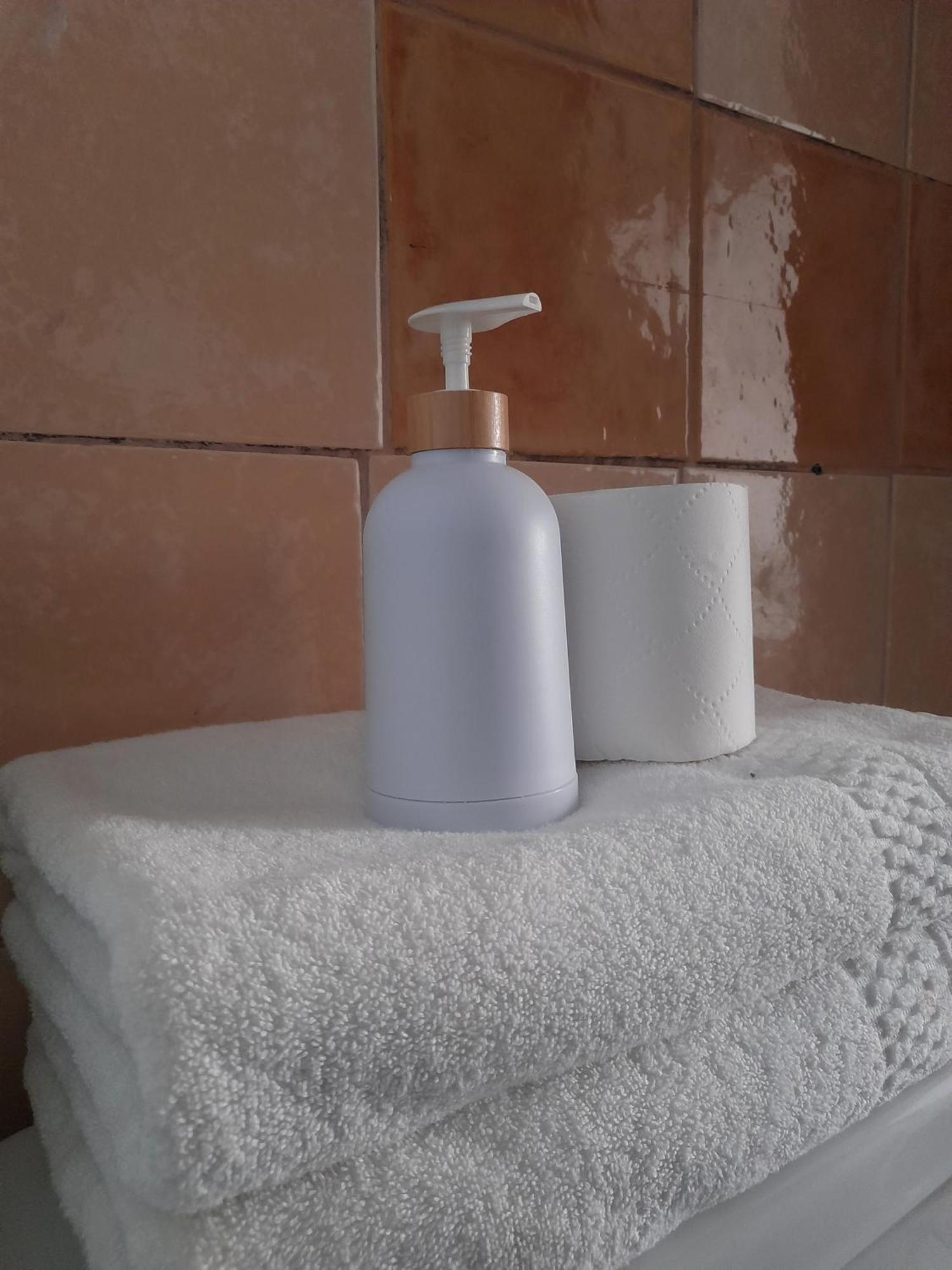 סנטיאגו Atacama Hostel Backpackers מראה חיצוני תמונה